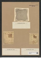 Amphitetras quadrangularis (Grev.) De-Toni (de-Toni-Nr.: Genus 137, Species 3623) Zeichnungen Sammlung Grunow Nr. 7121 (NHMW-BOT-W0376083)